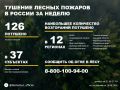 По данным Авиалесоохраны, подведомственной организации Рослесхоза, за прошедшую неделю потушено 126 лесных пожаров в 26 регионах России
