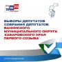 ИТОГИ ЕДГ 2026: Выборы депутатов Собрания депутатов Ванинского муниципального округа первого созыва