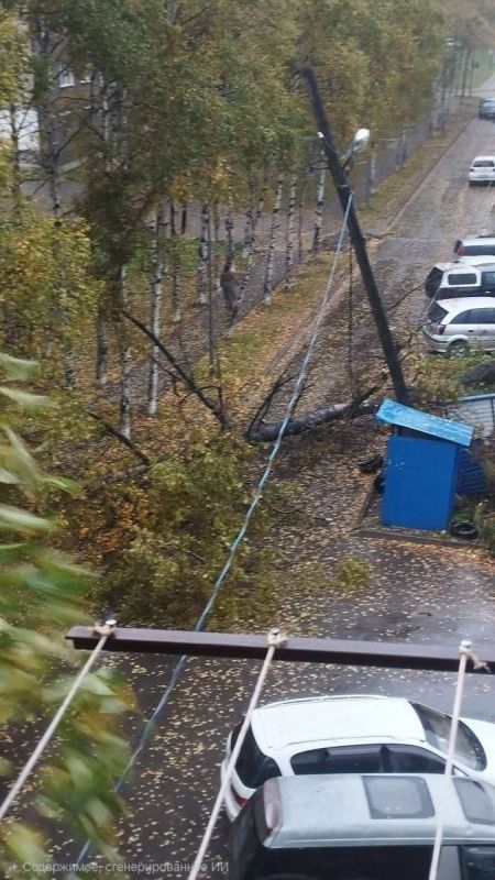 Ветер вырывает деревья и сносит крыши в Ванино и Совгавани Ветер вырывает деревья и сносит крыши в Ванино и Совгавани