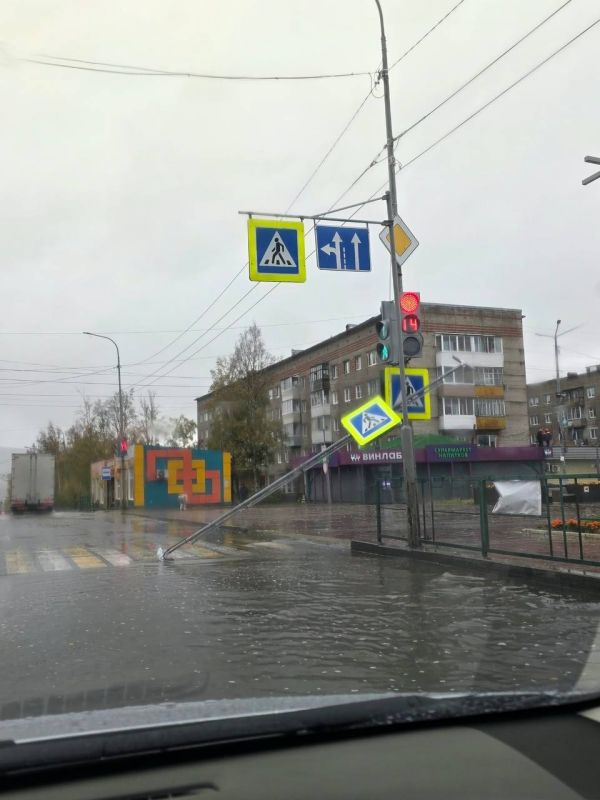 Ветер вырывает деревья и сносит крыши в Ванино и Совгавани Ветер вырывает деревья и сносит крыши в Ванино и Совгавани