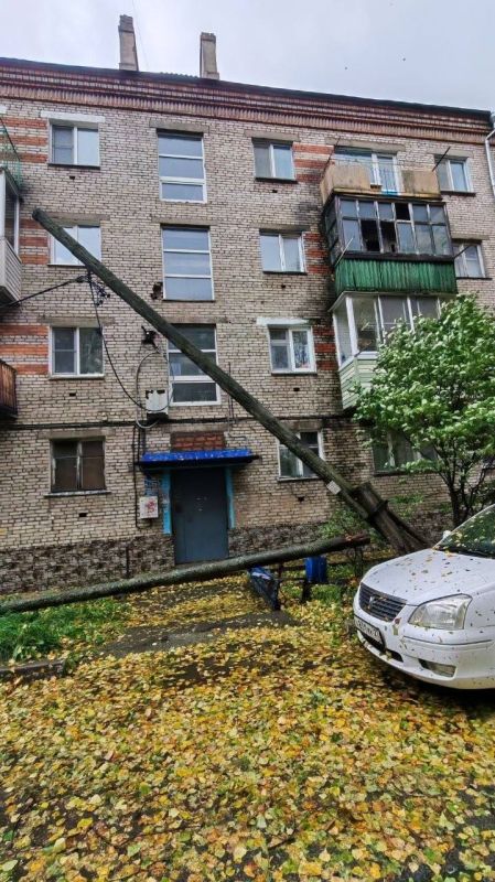 Ветер вырывает деревья и сносит крыши в Ванино и Совгавани Ветер вырывает деревья и сносит крыши в Ванино и Совгавани