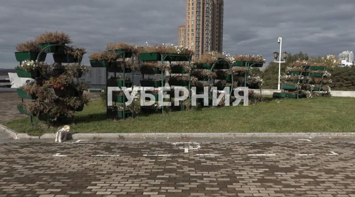Выпил после аварии: водитель без прав влетел в инсталляцию на площади Славы в Хабаровске Выпил после аварии: водитель без прав влетел в инсталляцию на площади Славы в Хабаровске