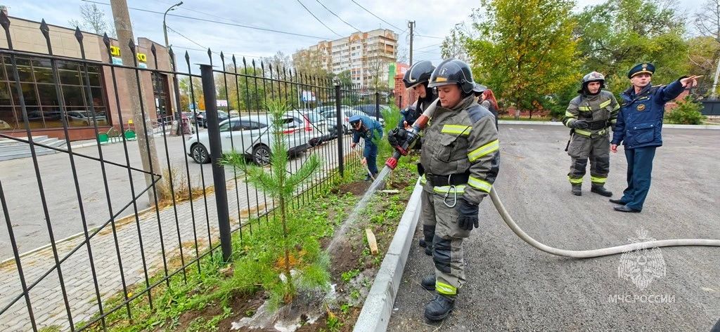 Накануне Дня гражданской обороны на территории пожарной части в Хабаровске появилась хвойная аллея Накануне Дня гражданской обороны на территории пожарной части в Хабаровске появилась хвойная аллея