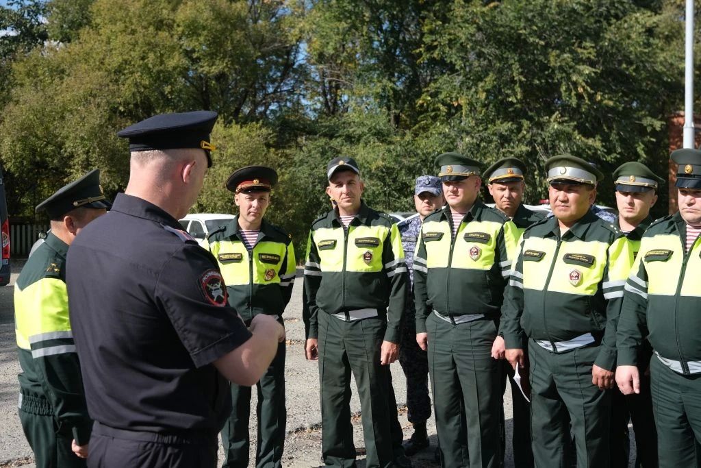 В Хабаровске прошел учебный сбор с представителями военной автомобильной инспекции Росгвардии В Хабаровске прошел учебный сбор с представителями военной автомобильной инспекции Росгвардии