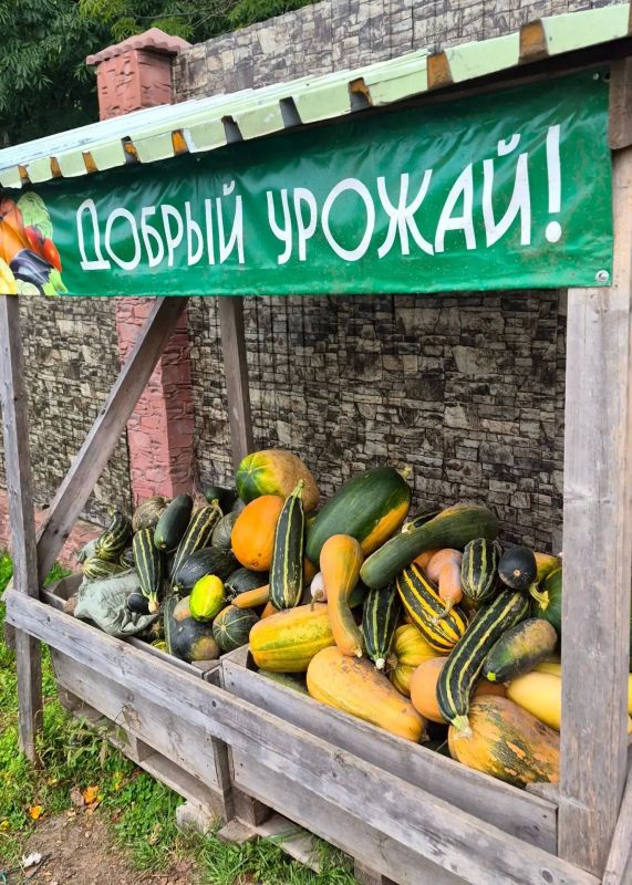 Рекордный урожай для лесных жителей: хабаровчане собрали более 10 тонн овощей и 80 кг желудей для зоосада «Приамурский»!