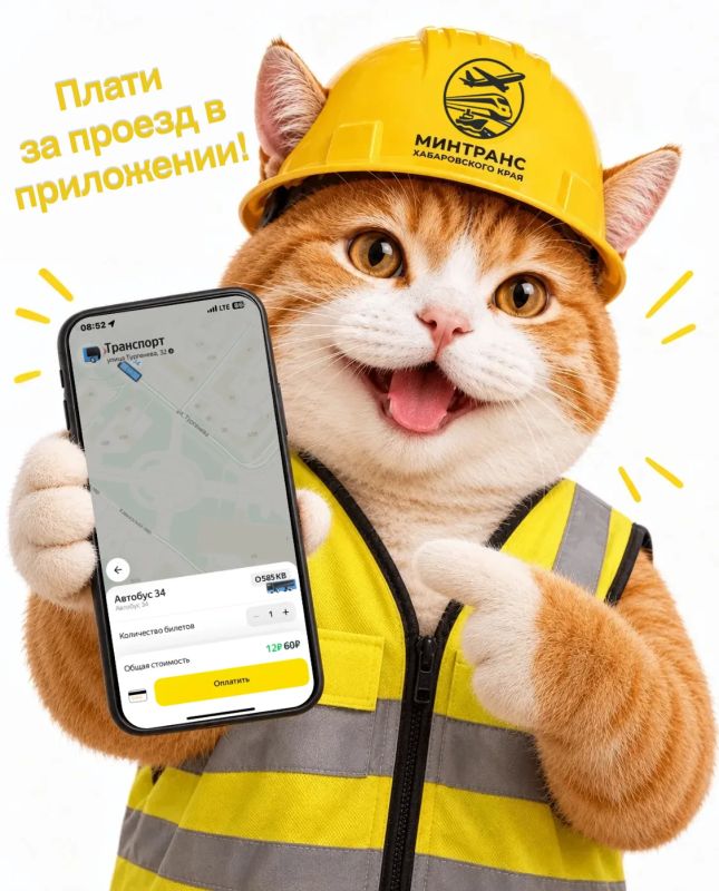 Экономьте 80% на проезде в общественном транспорте