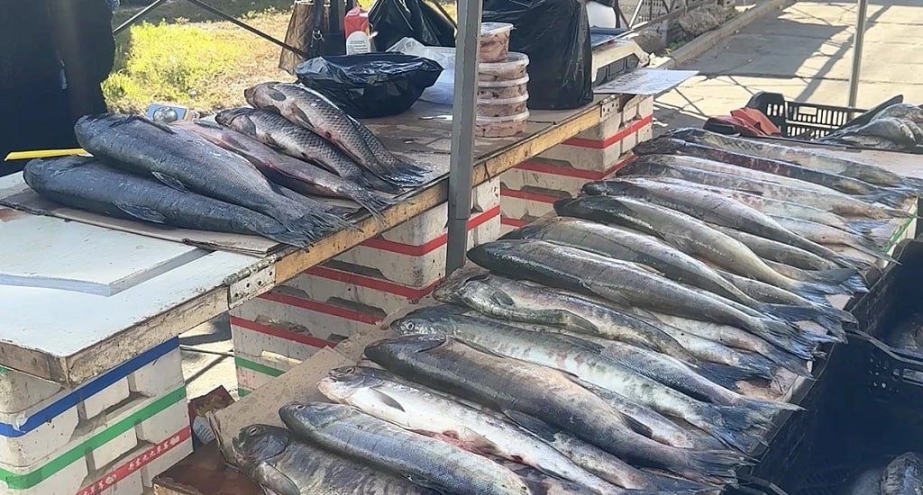 Очередной рейд по пресечению незаконной торговли прошёл в Хабаровске