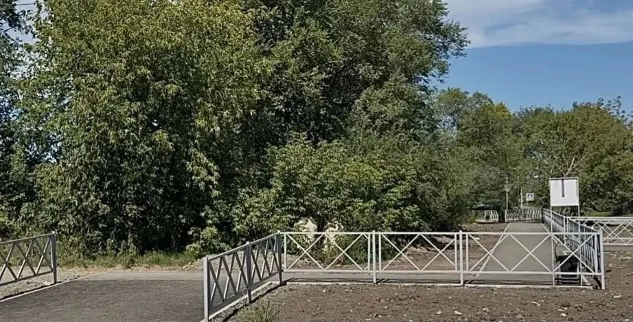 «Спасибо за заботу о нашем городе!»: жители Амурска благодарят за благоустроенные территории в рамках нацпроекта «Спасибо за заботу о нашем городе!»: жители Амурска благодарят за благоустроенные территории в рамках нацпроекта