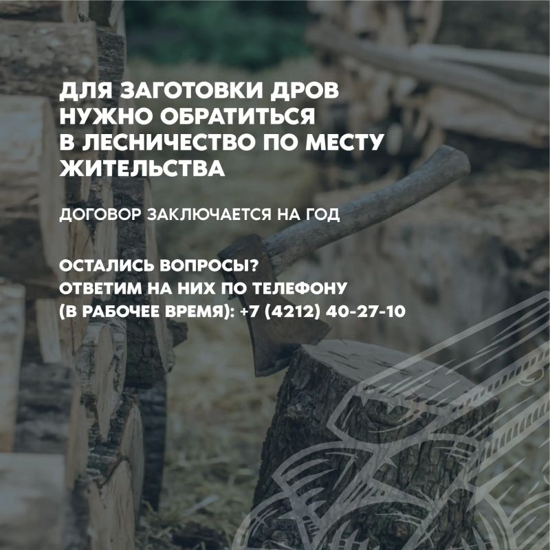 Заготовка древесины в Хабаровском крае: нормативы, льготы и порядок оформления Заготовка древесины в Хабаровском крае: нормативы, льготы и порядок оформления