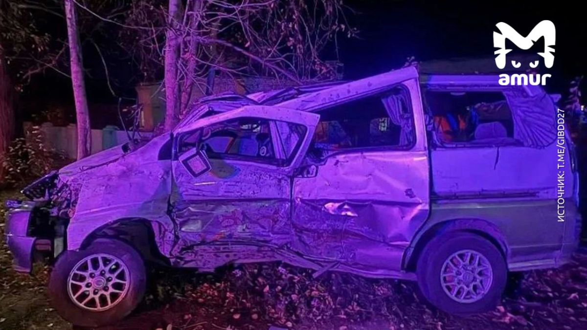 Два человека погибли, восемь пострадали — в том числе ребёнок — в ДТП в Хабаровском крае Два человека погибли, восемь пострадали — в том числе ребёнок — в ДТП в Хабаровском крае