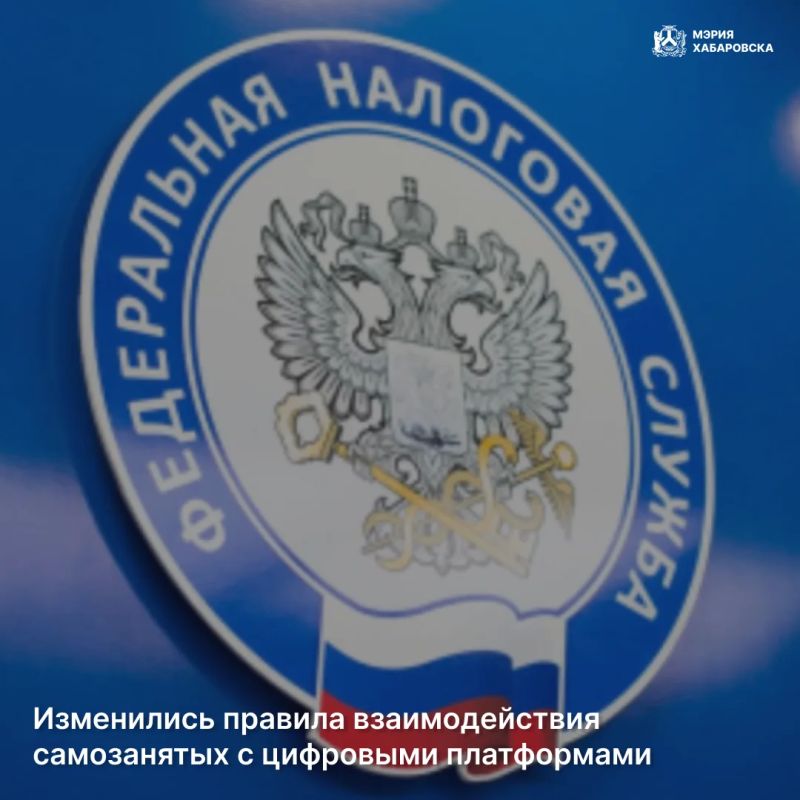 Важное для хабаровских предпринимателей и самозанятых