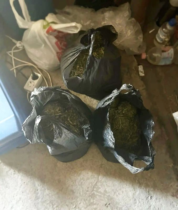 В Амурске полицейские изъяли более 2,5 килограмма растительных наркотиков из гаражного бокса амурчанина В Амурске полицейские изъяли более 2,5 килограмма растительных наркотиков из гаражного бокса амурчанина