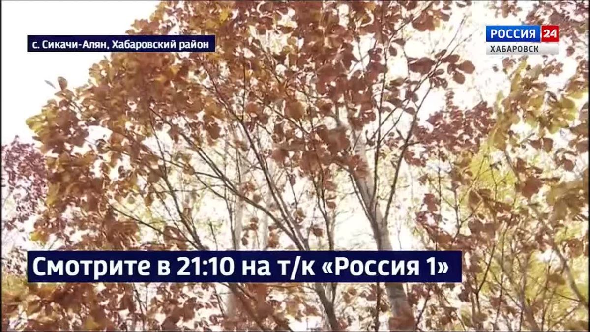 Смотрите в 21:10. При строительстве эко-тропы "Легенды сэвэнов" ни один культурный слой не пострадал