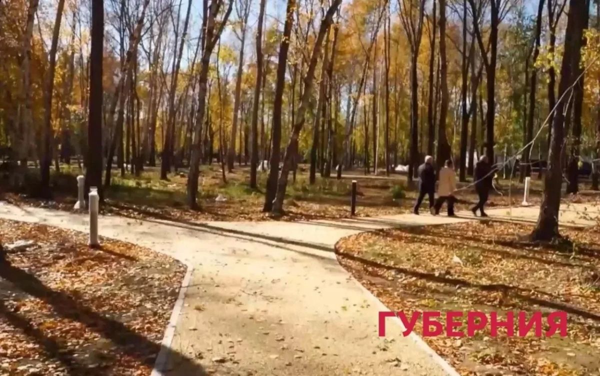 Аллея истории и фонтан: парк «Строитель» в Комсомольске масштабно обновляют Аллея истории и фонтан: парк «Строитель» в Комсомольске масштабно обновляют