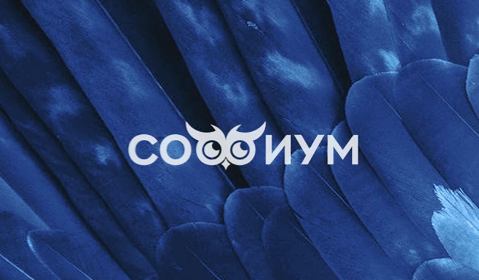 Хабаровский край: готовимся к олимпиаде «Софиум»!