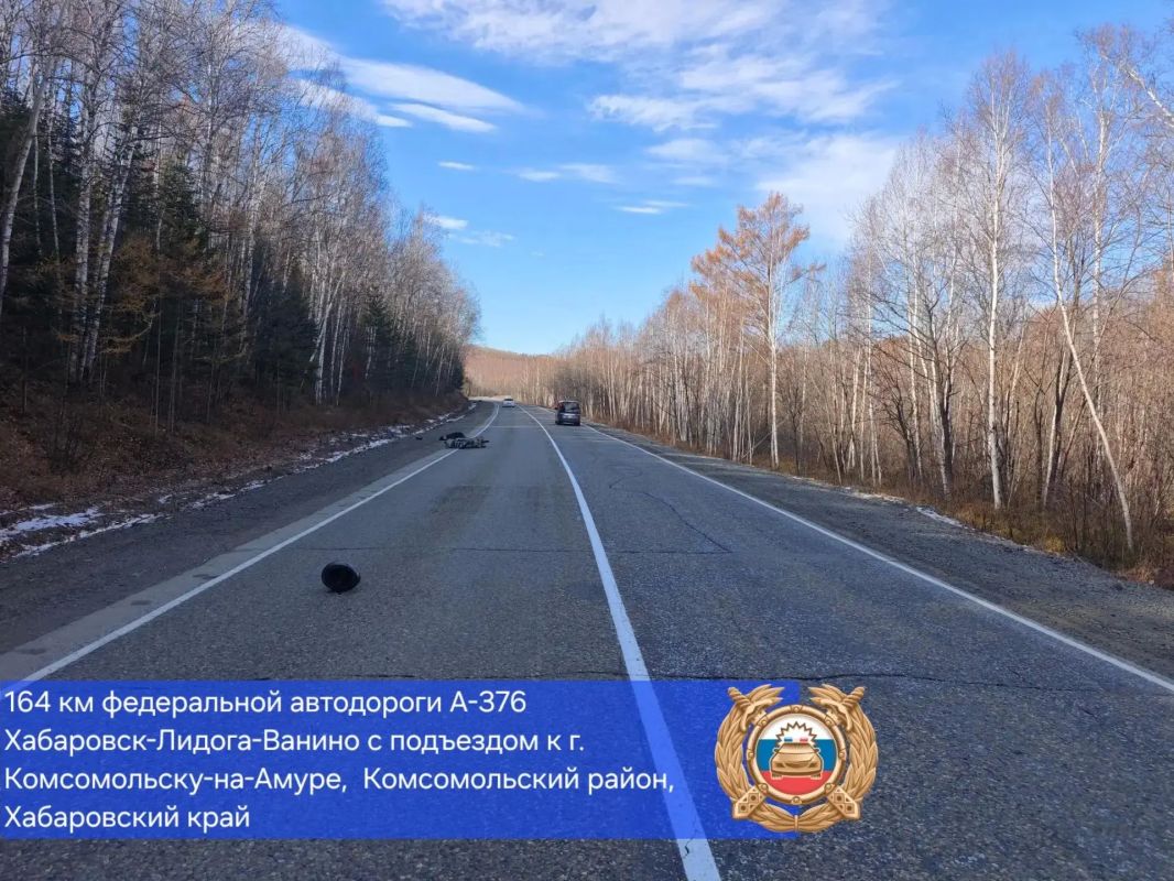 Автобус насмерть сбил пенсионера на мопеде на трассе в Хабаровском крае