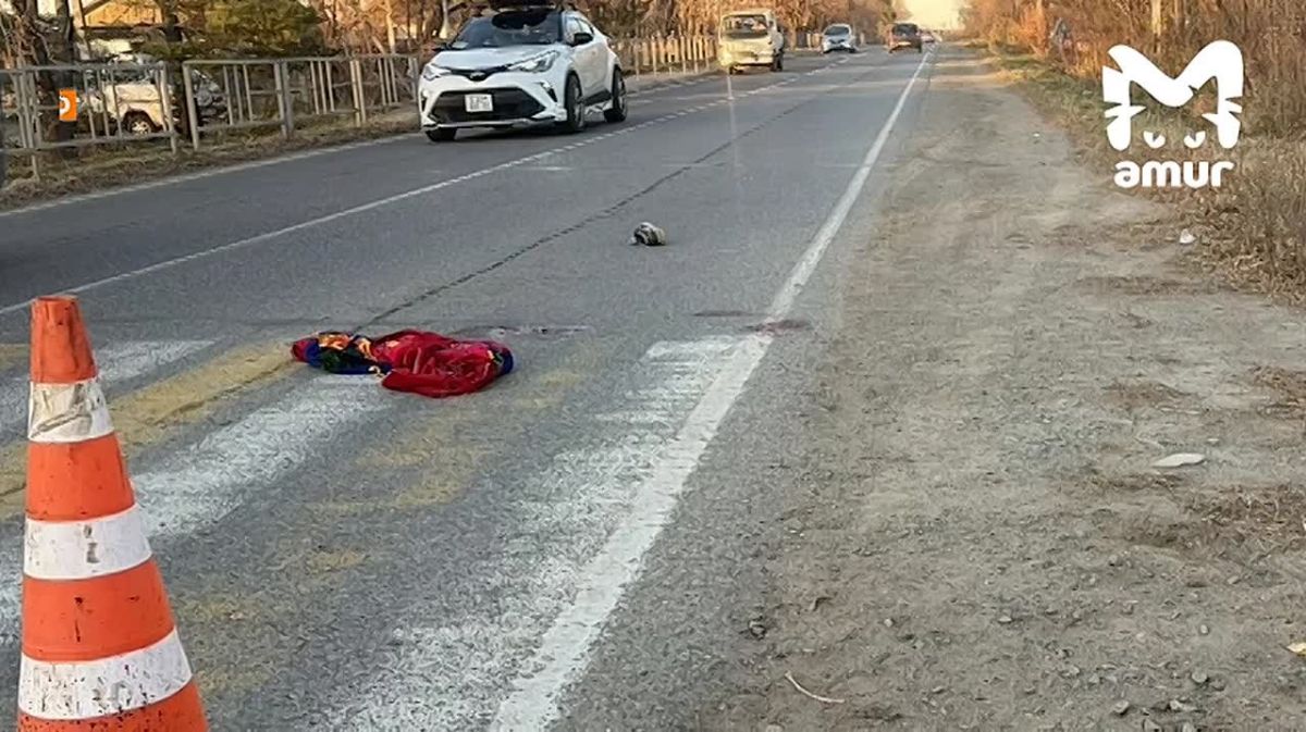 Грузовик сбил детей на пешеходном переходе в Хабаровском районе