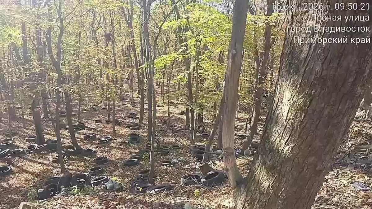 Огромную свалку покрышек нашли во Владивостоке