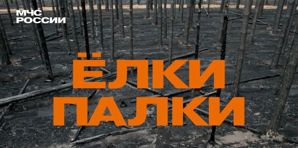 3 причины, почему не стоит сжигать сухую траву: