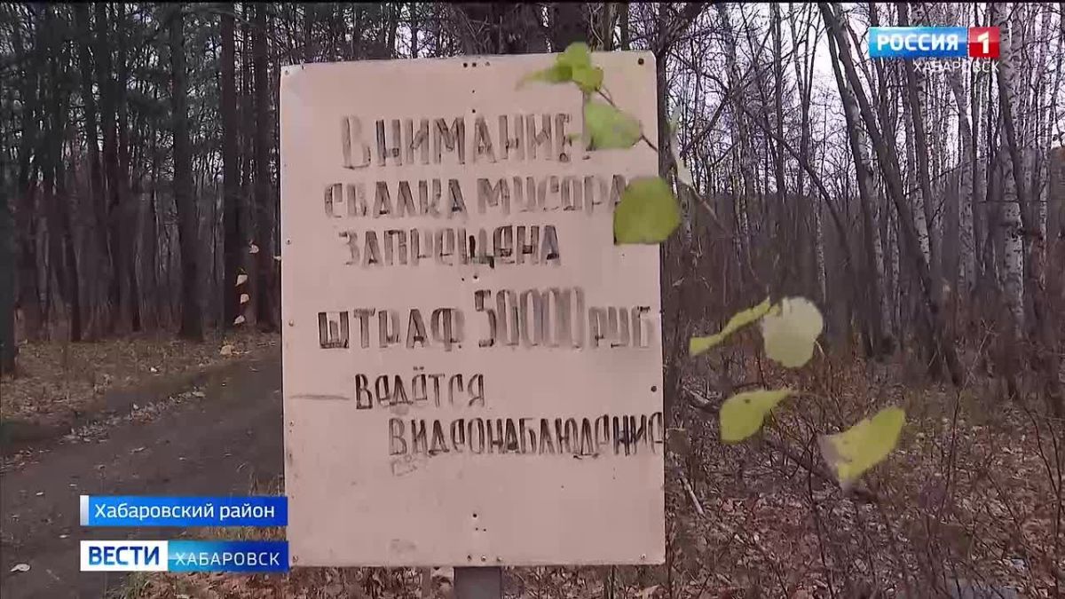 Лишение свободы может грозить владельцам участка со свалкой в Хабаровском районе
