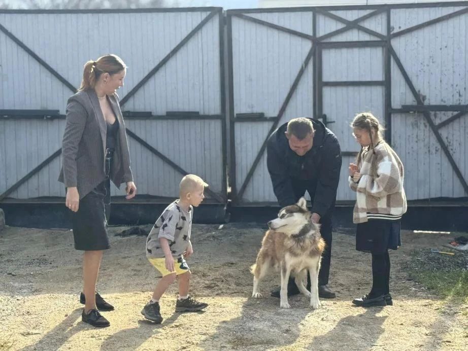 2 800 хабаровских многодетных семей получили краевой маткапитал в этом году 2 800 хабаровских многодетных семей получили краевой маткапитал в этом году
