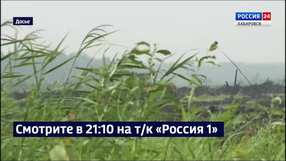 Смотрите в 21:10. Дмитрий Демешин поручил краевому Минсельхозу увеличить посевные площади