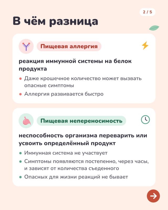 Пищевая непереносимость: что это такое и чем она отличается от аллергии Пищевая непереносимость: что это такое и чем она отличается от аллергии