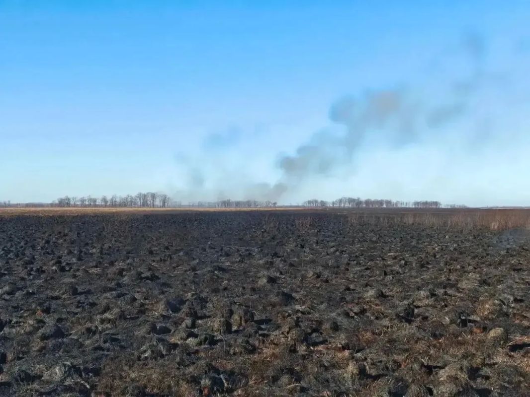 Поджог поля привел к крупному природному пожару в Приморье Поджог поля привел к крупному природному пожару в Приморье