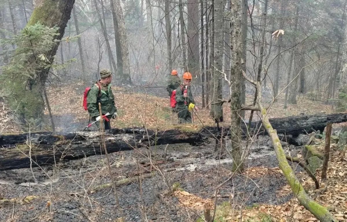 Пожар потушен в Большехехцирском заповеднике