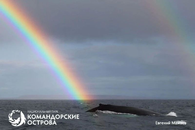 Радуга озарила Командорские острова Радуга озарила Командорские острова