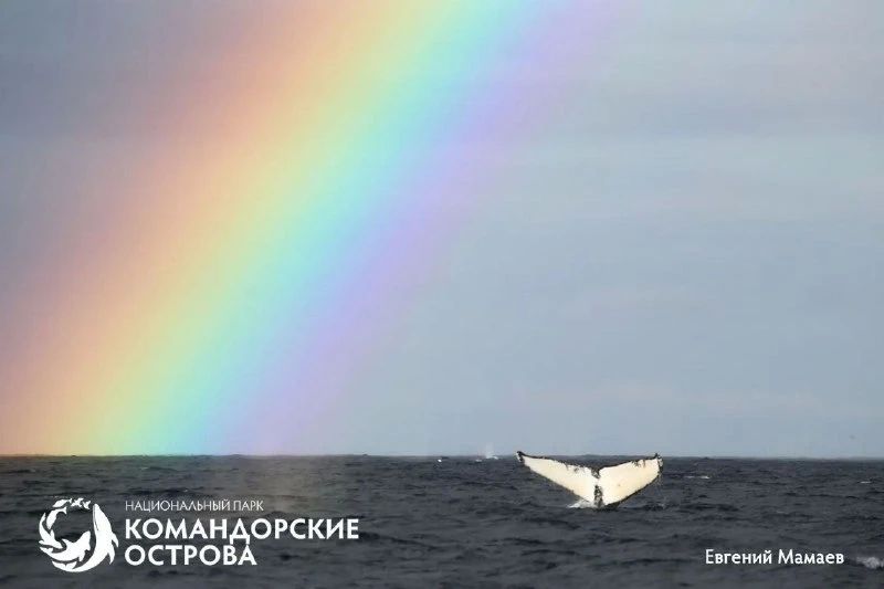 Радуга озарила Командорские острова