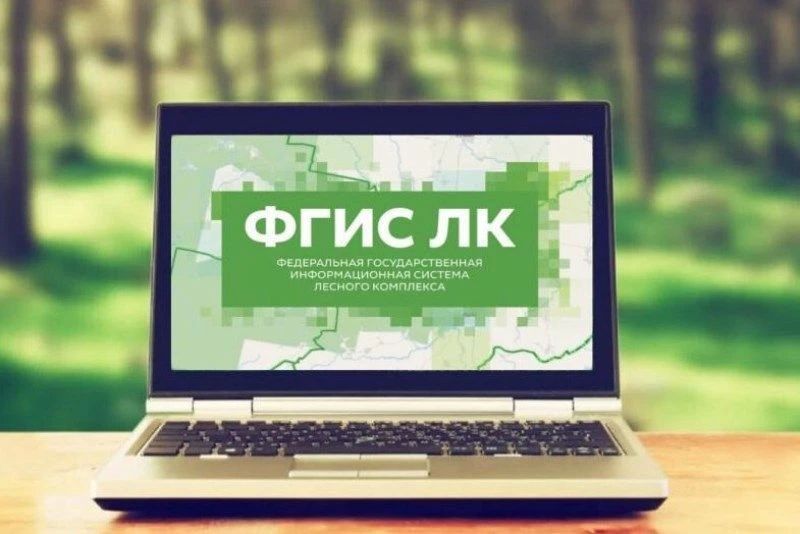 Цифровая приемная steptoforest.ru открыта для обращений по вопросам работы ФГИС ЛК