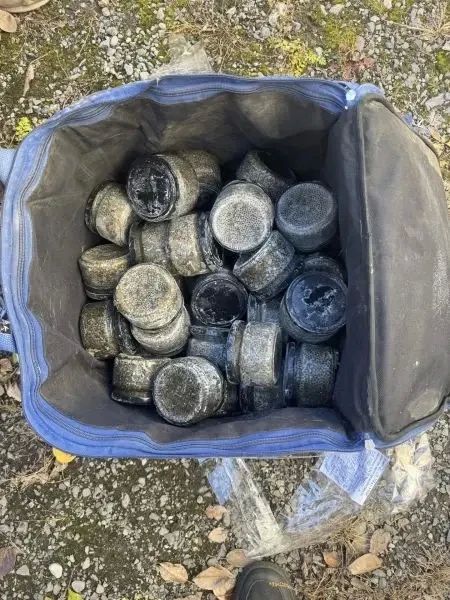 В Комсомольском районе возбуждено уголовное дело в отношении жителя города Юности, перевозившего в автомобиле 10 килограммов черной икры В Комсомольском районе возбуждено уголовное дело в отношении жителя города Юности, перевозившего в автомобиле 10 килограммов черной икры