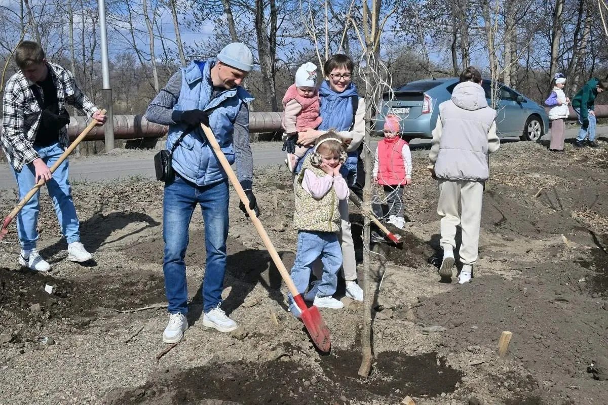 В Хабаровске высадили более 4300 растений в этом году