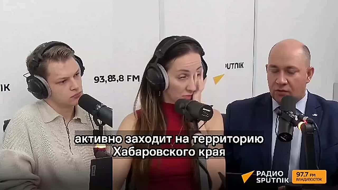 445 миллиардов в экономику края: что Дальний Восток предлагает инвесторам?