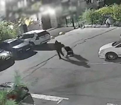 Будущий папа украл детскую коляску, чтобы подарить жене Будущий папа украл детскую коляску, чтобы подарить жене