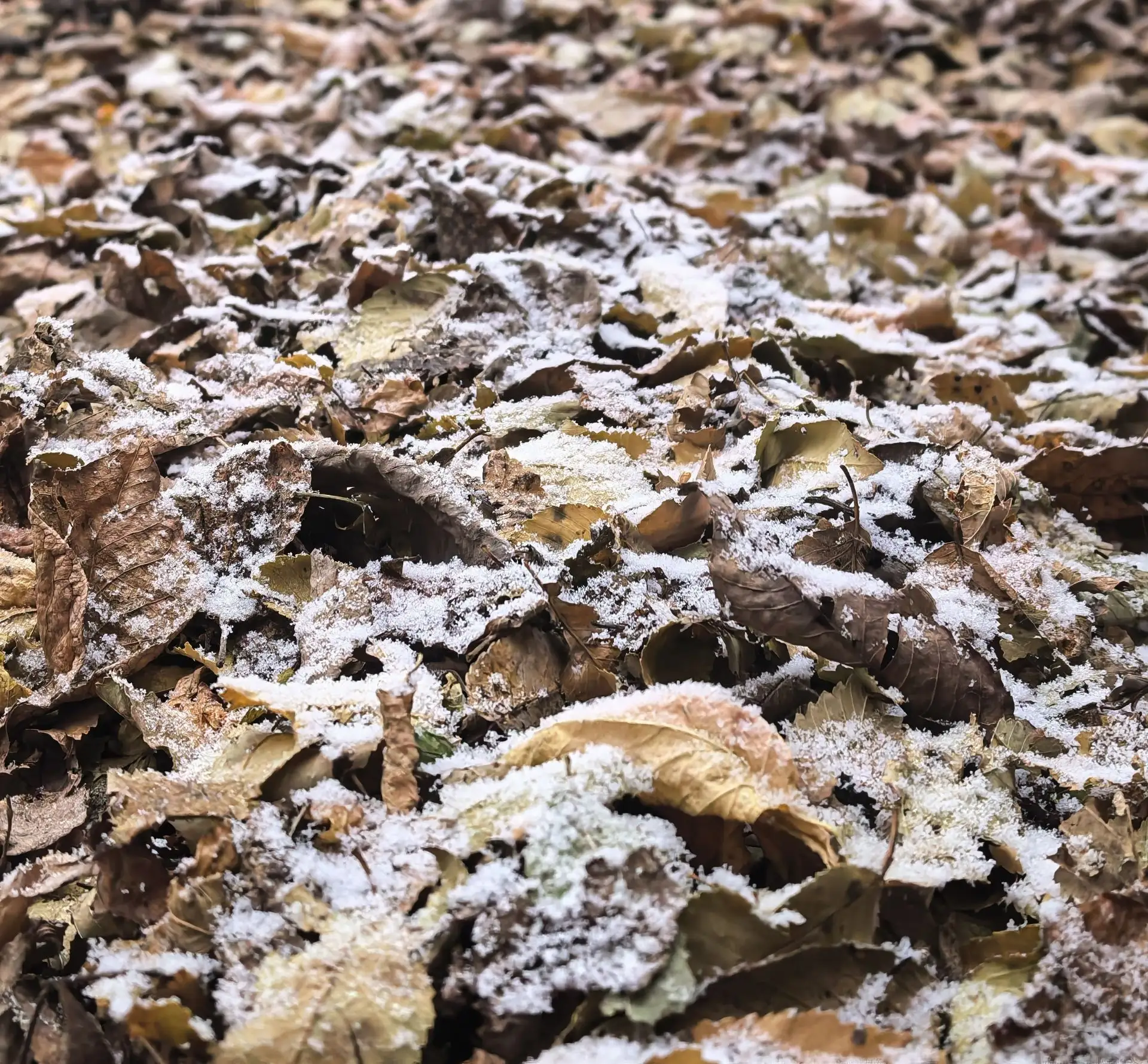 Хороших выходных. Хабаровск -9 °C ночью