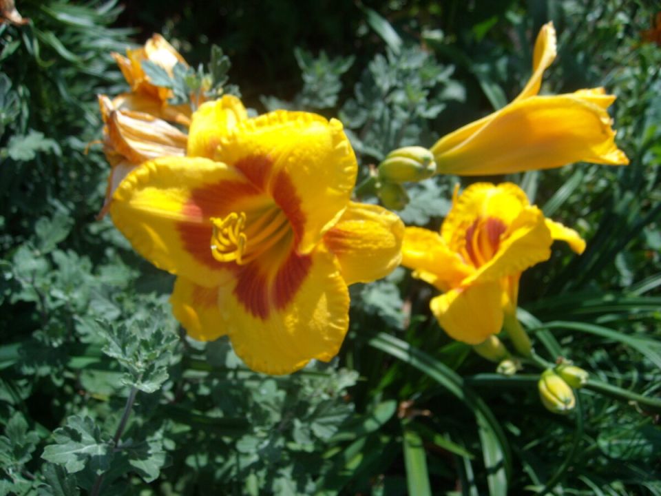 ���������: ��������� ������� � �����