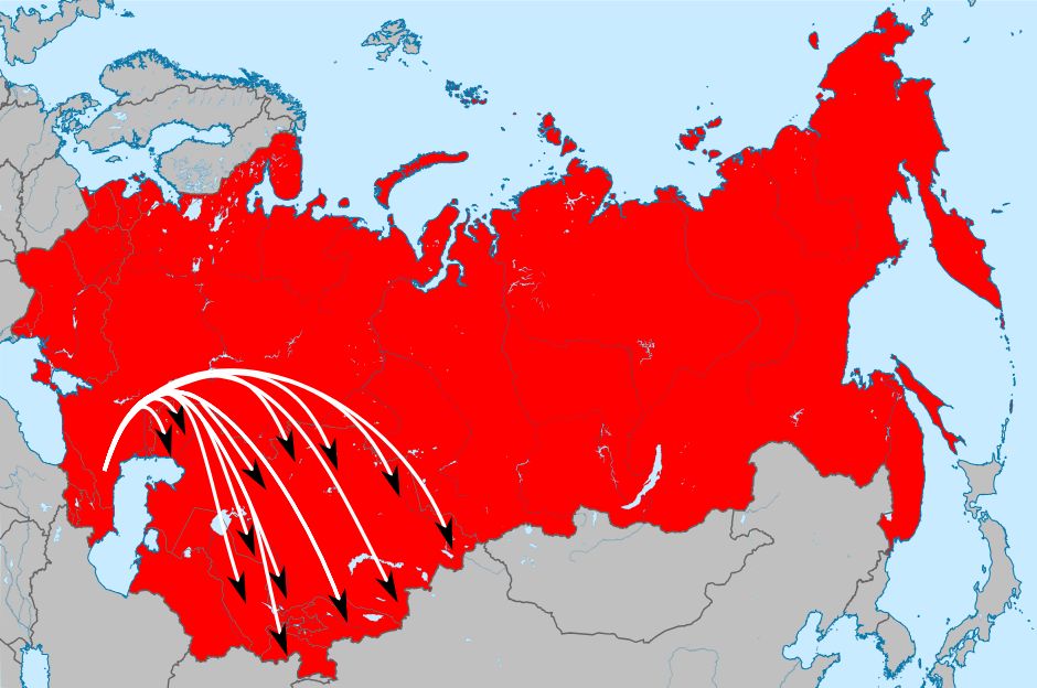 История, изменившая жизнь: Как пенсионерка победила систему и добилась справедливости
