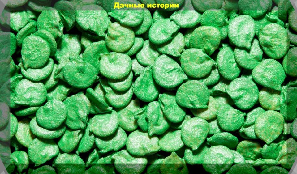 Семена в яркой оболочке: плюсы и минусы, о которых стоит знать каждому огороднику