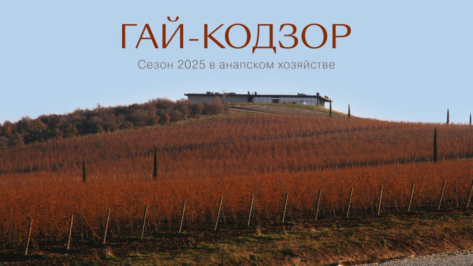 Сезон 2025 года: чего ожидать от виноградников Гай-Кодзор