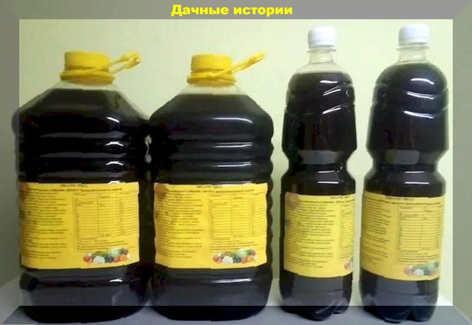 Секреты обогащения грунта в вашем саду