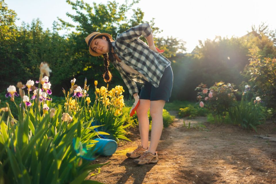 Согревающие растирки от болей в спине: популярные народные рецепты