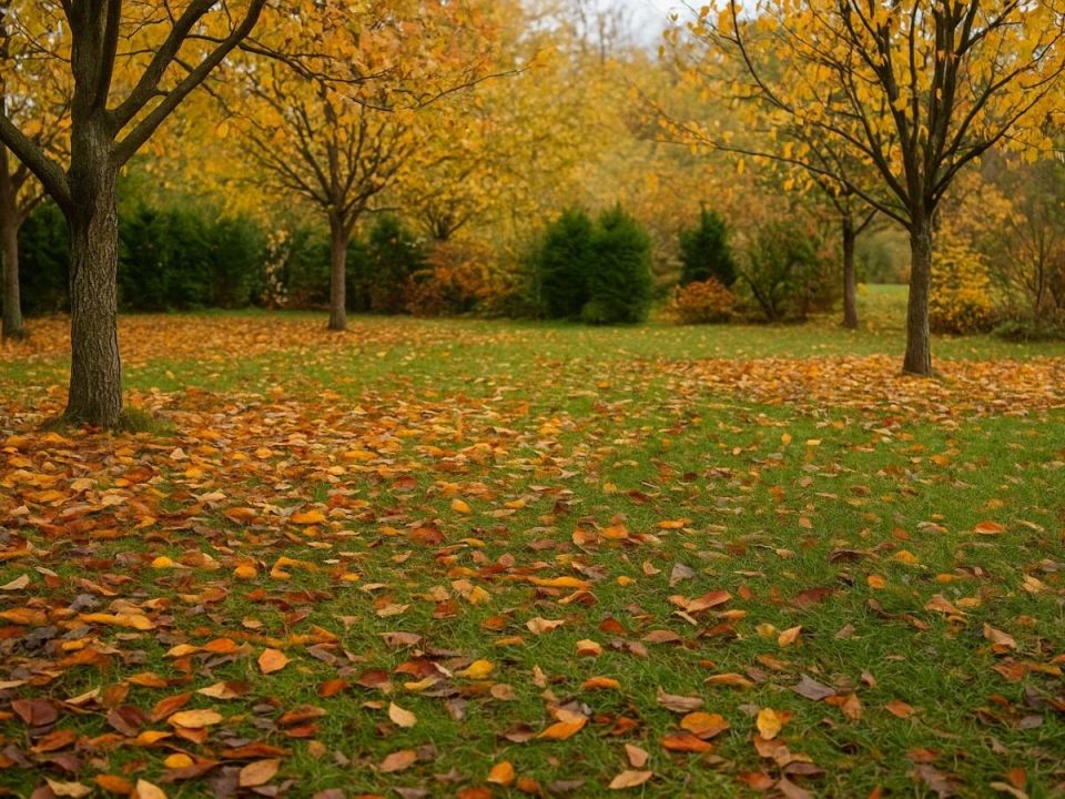 Почему «ленивый» осенний сад может стать вашим лучшим другом