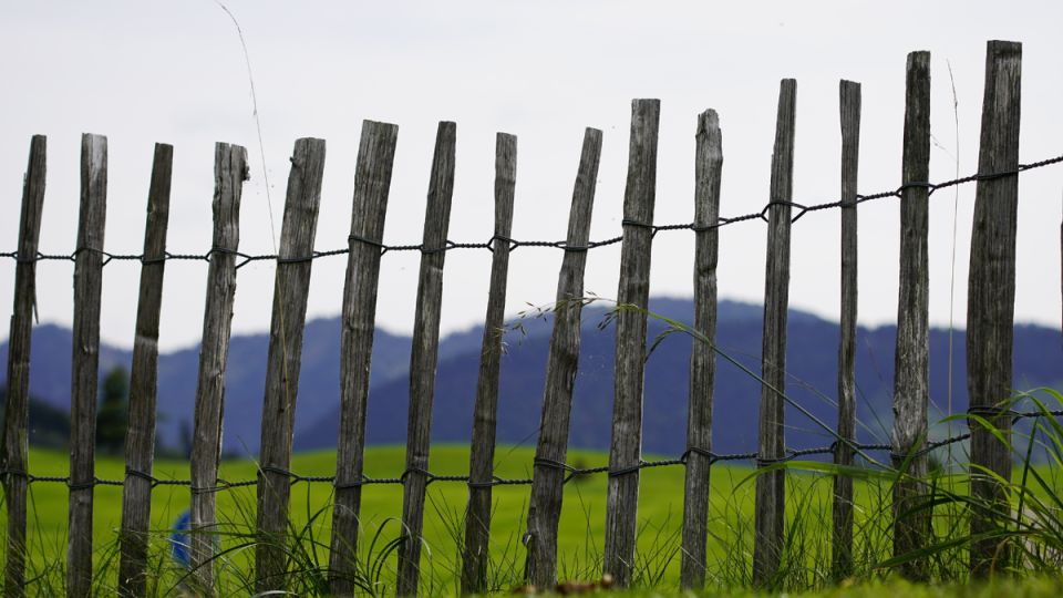 Соседский конфликт: суд решает споры из-за поврежденных ворот