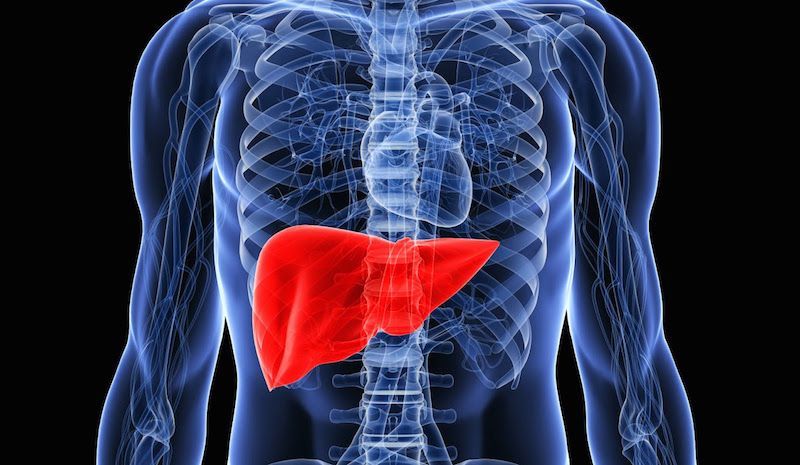 Как 7 простых продуктов могут спасти вашу печень