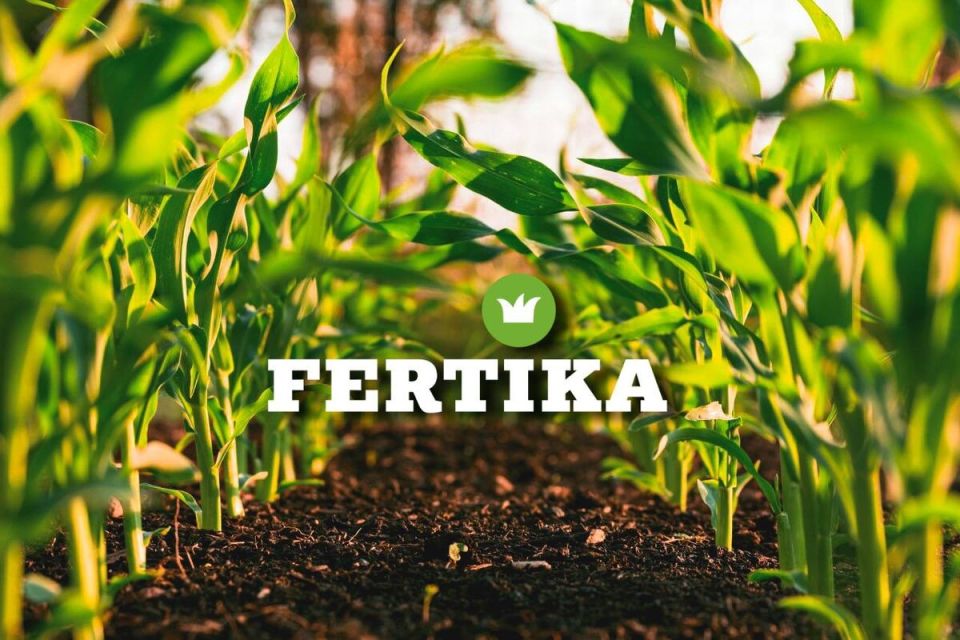 Как правильно подготовить грядку для весеннего сада: секреты успешного ухода