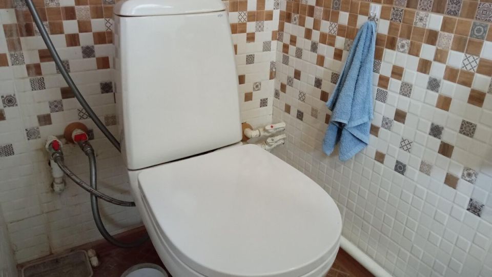 Секретный метод: как с помощью пемзы вернуть унитазу идеальную чистоту