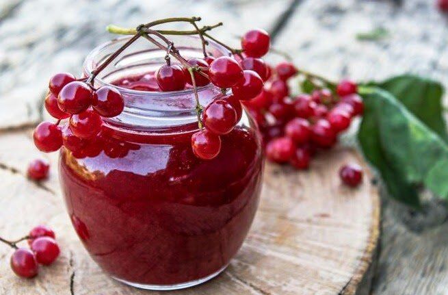 Как приготовить калиновый сироп: полезно и невероятно вкусно