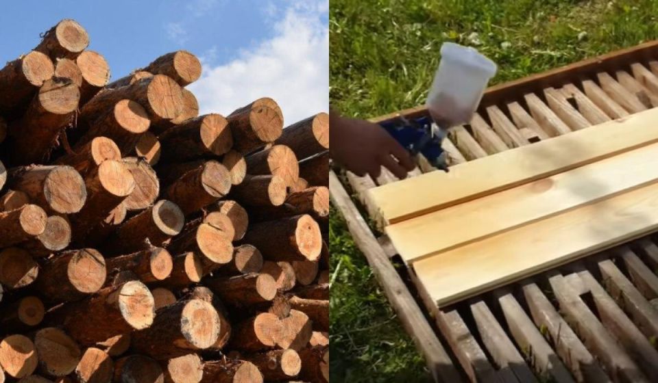 Как защитить деревянные доски от гниения: простые и эффективные советы